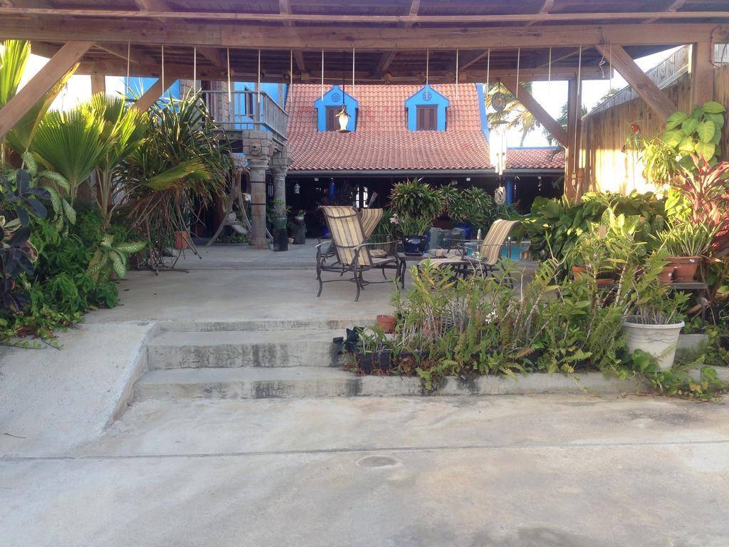 De Cuba Bed & Breakfast Noord Εξωτερικό φωτογραφία