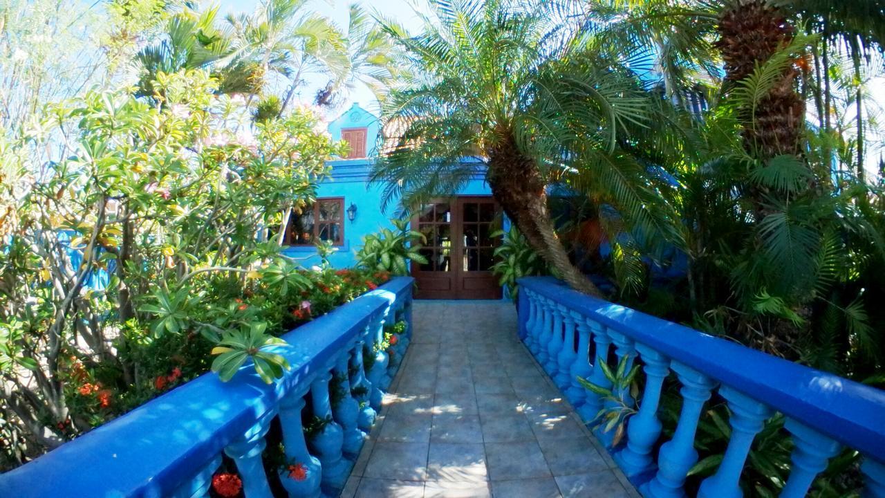 De Cuba Bed & Breakfast Noord Εξωτερικό φωτογραφία