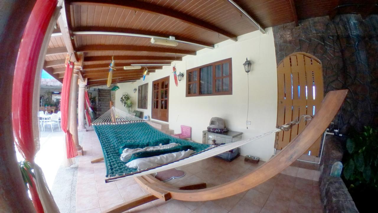 De Cuba Bed & Breakfast Noord Εξωτερικό φωτογραφία